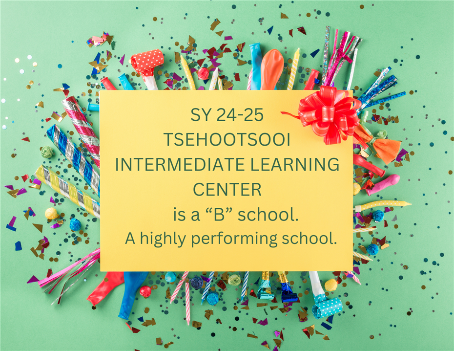 TILC School Letter Grade 24-25